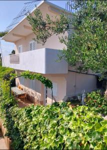 Zahrada ubytování Apartman Igor