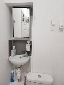a bathroom with a sink and a toilet and a mirror at Studio Flat, close to o2 Arena and City Airport in Woolwich