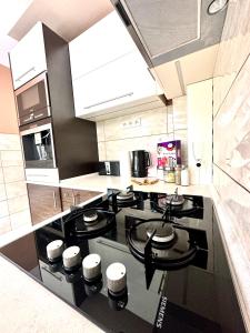 Kuchyňa alebo kuchynka v ubytovaní Comfort Apartment 2 rooms 65m2