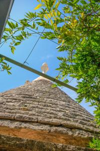 um pássaro sentado em cima de um telhado em TRULLI OLISTICI em Locorotondo