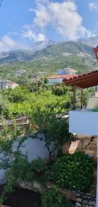 a view of a pond with trees and a mountain at XHEKO ROOMS in Dhërmi +8 photos