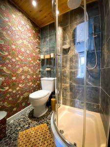 a bathroom with a toilet and a shower at Rose House in Glenarm