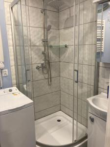 a shower with a glass door in a bathroom at Habibi Plac Ratuszowy in Jelenia Góra +10 photos