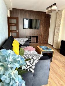 un soggiorno con divano e TV di Comfort Apartment 2 rooms 65m2 a Varsavia