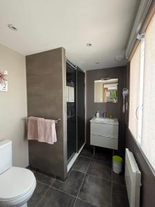 La salle de bains est pourvue d'une douche, de toilettes et d'un lavabo. dans l'établissement Un moment zen à Warhem, à Warhem