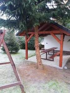 Zahrada ubytování Chata Lienka
