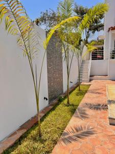 two palm trees in a yard next to a wall at Residencia en el centro de Puerto Escondido in Puerto Escondido