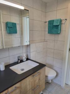 ein Badezimmer mit einem Waschbecken, einem WC und einem Spiegel in der Unterkunft Les petits Rosiers in Tramelan