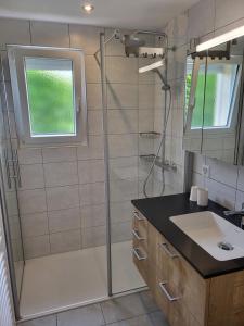 ein Bad mit einer Dusche und einem Waschbecken in der Unterkunft Les petits Rosiers in Tramelan
