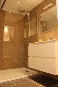 La salle de bains est pourvue d'une douche et d'un lavabo. dans l'établissement Gîte 'Toi et moi ', à Graux