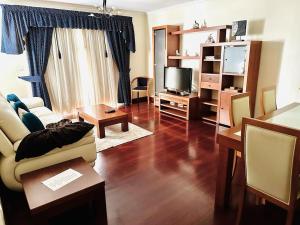 uma sala de estar com um sofá e uma televisão em Smarts Apartment da Ajuda no Funchal
