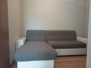 un sofá sentado en una sala de estar con ainylinylinylinylinylinyl en Privatzimmer an der Büffelweide, en Gmünd