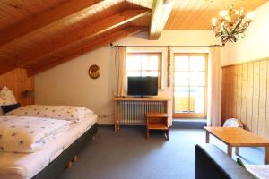TV a/nebo společenská místnost v ubytování Schelpenalp Berghotel Balderschwang