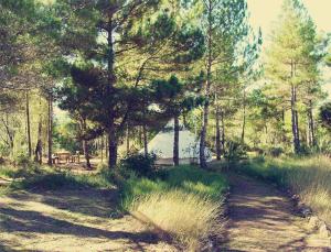 Příroda nedaleko luxury tent