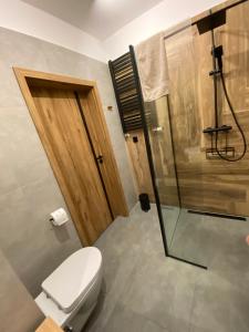 uma casa de banho com um WC e um chuveiro em Apartament Mech & Paprocie em Ustrzyki Dolne