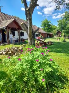 un giardino con fiori rosa di fronte ad un albero di Harmat Porta a Galambok