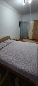 a bedroom with a large bed in a room at Apartament La Denis in Bîrlad