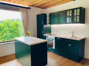 a kitchen with green cabinets and a sink and a window at Ferienhaus Lemsitz 34 in Lemsitz