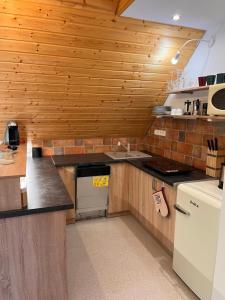 a kitchen with wooden walls and a sink and a stove at HOFBERG Apartmán in Nové Hamry