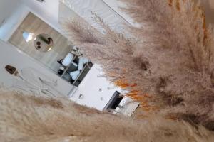 a view of a living room with a large feather ceiling at Appartement Privatif confort LA PHINE DETENTE in La Bassée
