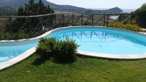 una grande piscina blu in erba di Chia Villa Violet a Chia