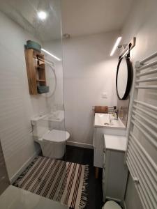 a bathroom with a toilet and a sink and a mirror at Le Bois d'Albran in La Calotterie