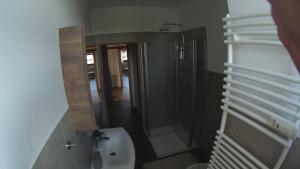a bathroom with a shower and a toilet and a mirror at Ferienwohnung Fernblick in Saalfeld +8 photos