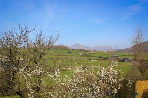 Φωτογραφία από το άλμπουμ του The Red Lion σε Lowick Green +34 φωτογραφίες