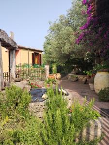 un jardín con flores y plantas en un patio en Il Casale Del Cortonese, en Sassari