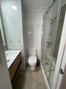uma casa de banho com um WC e uma cabina de duche em vidro. em Epicentro Suites Apart Hotel - Valdivia em Valdivia
