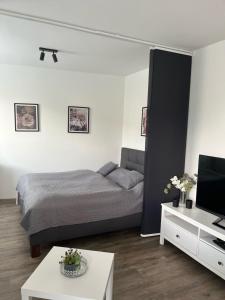 a bedroom with a bed and a tv and a table at Wolkerovka Apartment 1 in Olomouc