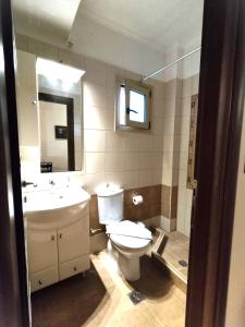 uma casa de banho com um WC, um lavatório e um espelho. em Maria's Rose Garden em Lefkada