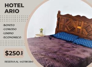 a poster for a hotel room with a bed at Hotel Ario in Ario de Rosales