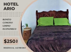um poster de um quarto com uma cama com almofadas verdes em Hotel Ario em Ario de Rosales