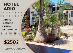 Hotel Ario في Ario de Rosales: تقويم فيه شجرة في حديقة