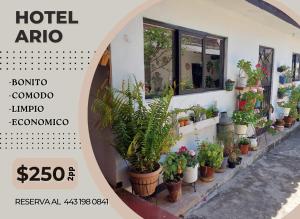 Fotografie z fotogalerie ubytování Hotel Ario v destinaci Ario de Rosales + 11 fotografií