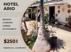 un cartel de un hotel articcolo con un árbol en Hotel Ario en Ario de Rosales