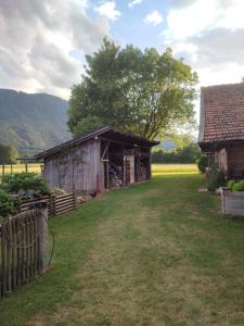 Příroda nedaleko apartmánu