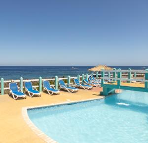 Bazen u ili blizu objekta Seagrape Plantation Resort & Dive Center