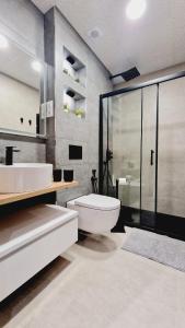La salle de bains est pourvue de toilettes, d'un lavabo et d'une douche. dans l'établissement La Promesa, à Madrid
