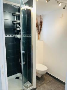 a bathroom with a glass shower with a toilet at Au charme provençal in Allauch