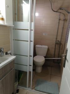 La petite salle de bains est pourvue d'une douche et de toilettes. dans l'établissement Hermes Gerakas-Athens, à Athènes