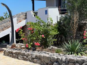 Vonkajšia záhrada v ubytovaní Holiday House Rusticana Sali, Dugi otok near NP Kornati