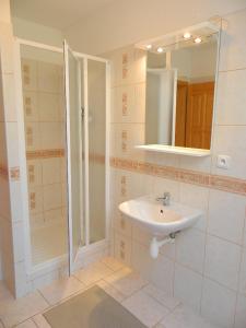 bagno con lavandino, doccia e specchio di Chalupa u Lipna a Nová Pec