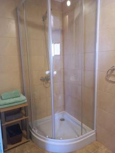 a shower with a glass door in a bathroom at Casa Sutar Los Pimientos in San Pedro de Atacama