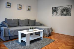a living room with a couch and a table at Apartman DJURDJEVAK in Vršac