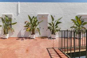 Zahrada ubytování Ático La Casa Rosa - Parking opcional