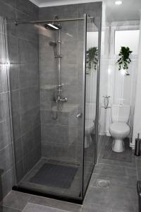 a shower stall in a bathroom with a toilet at Apartman DJURDJEVAK in Vršac