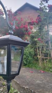 a street light in front of a garden with roses at Casa Atelier Transfăgărășan in Corbeni