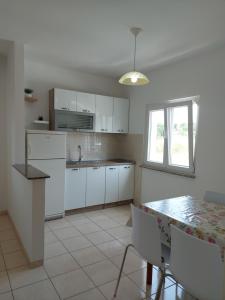 Kuchyň nebo kuchyňský kout v ubytování Apartment Ante